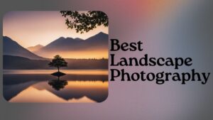 Read more about the article Best Landscape Photography: Ricoh, Sony, or Canon? An In-Depth Comparison