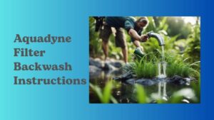 Read more about the article Aquadyne Filter Backwash Instructions: A Step-by-Step Guide for Optimal Performance