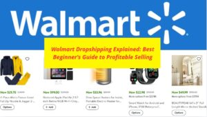 Read more about the article Walmart Dropshipping Explained: Best Beginner’s Guide to Profitable Selling