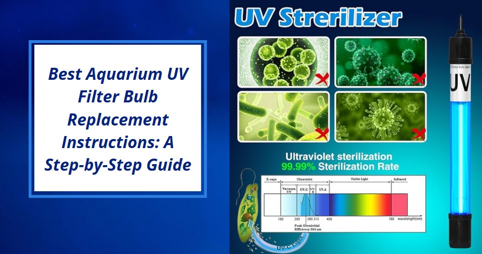 Read more about the article Best Aquarium UV Filter Bulb Replacement Instructions: A Step-by-Step Guide