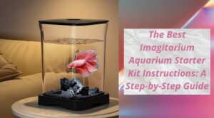 Read more about the article The Best Imagitarium Aquarium Starter Kit Instructions: A Step-by-Step Guide